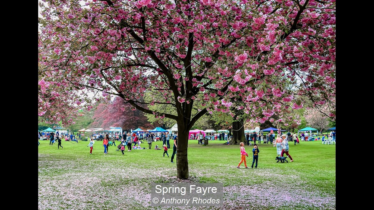 Spring Fayre
